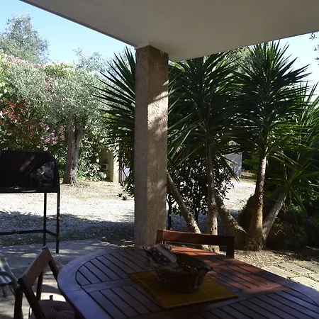 Gli Ulivi אלגהרו