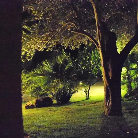 Apartment Gli Ulivi Alghero