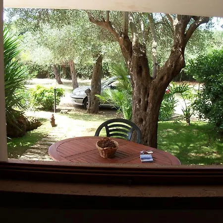 Gli Ulivi * 알게로