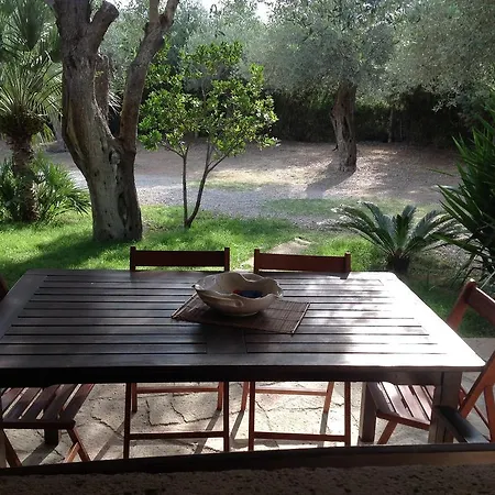 Gli Ulivi * 알게로