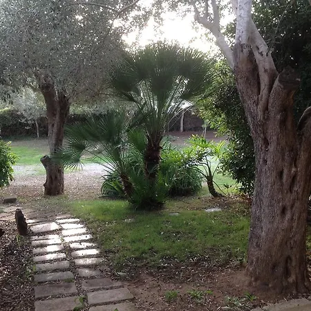 Apartment Gli Ulivi