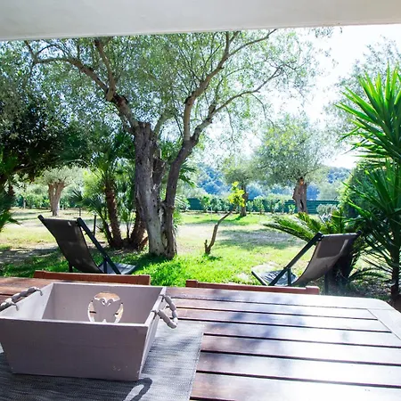 Apartment Gli Ulivi