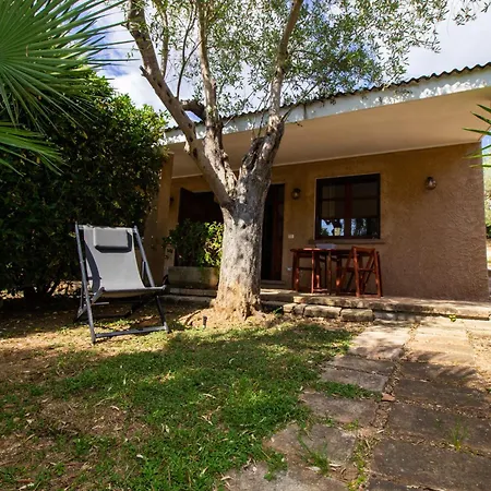 Gli Ulivi Apartment *