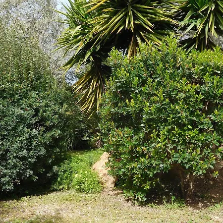 Gli Ulivi Appartamento